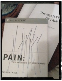 Pain_books